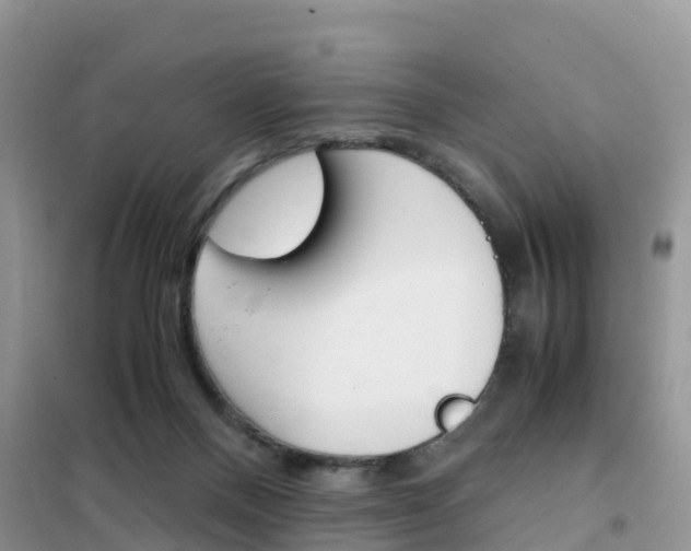 X0000102370120200808011033