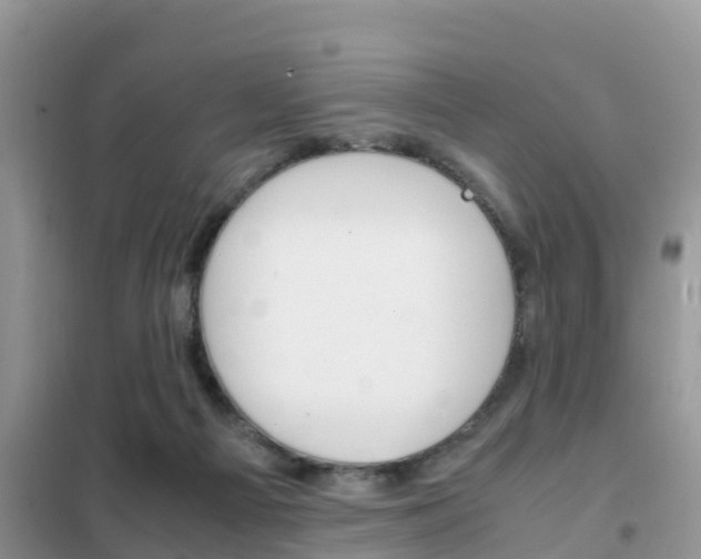 X0000102370121200808011033