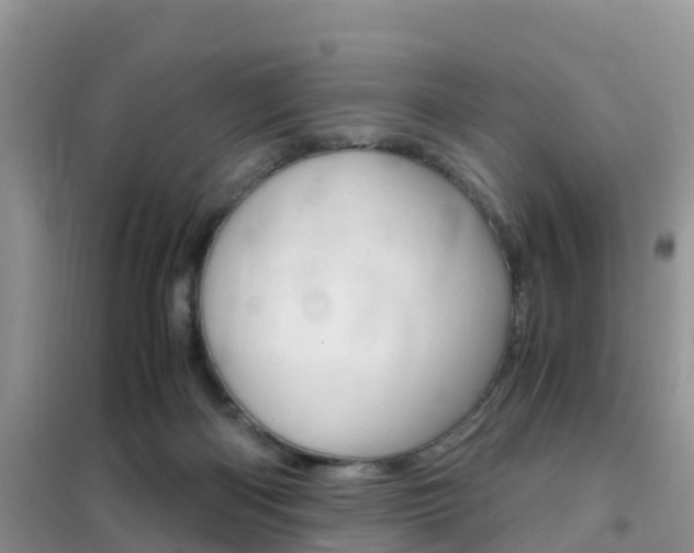 X0000102370122200808011033