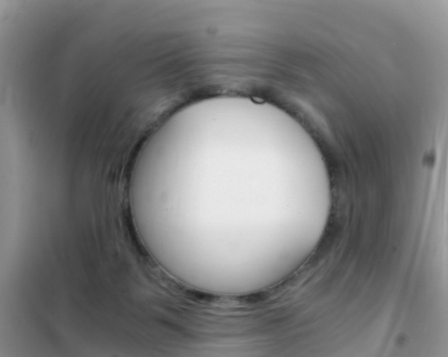 X0000102370123200808011033