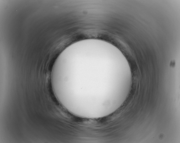 X0000102370125200808011033