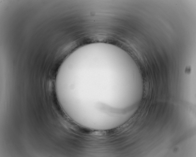 X0000102370126200808011032
