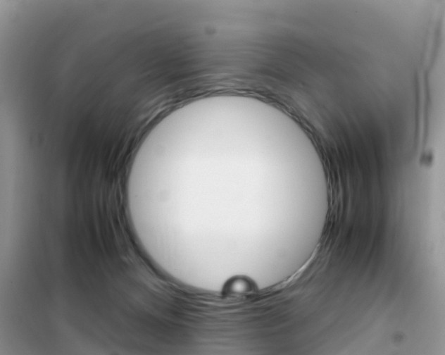 X0000102370128200808011032