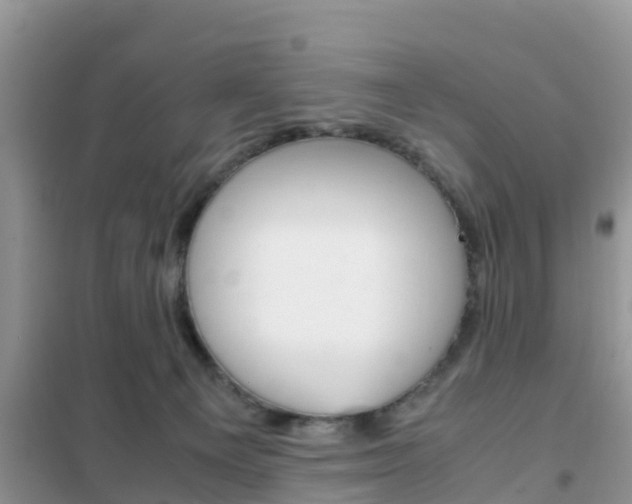 X0000102370129200808011032
