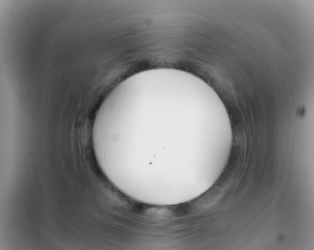 X0000102370133200808011032