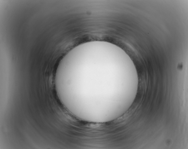 X0000102370134200808011032