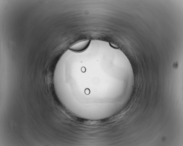 X0000102370135200808011032