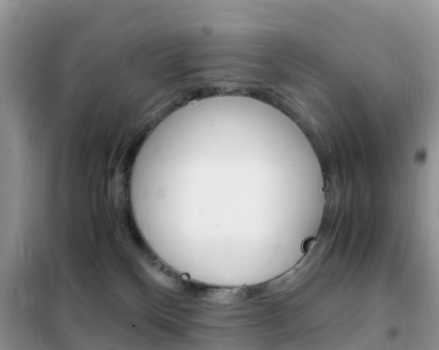 X0000102370136200808011032