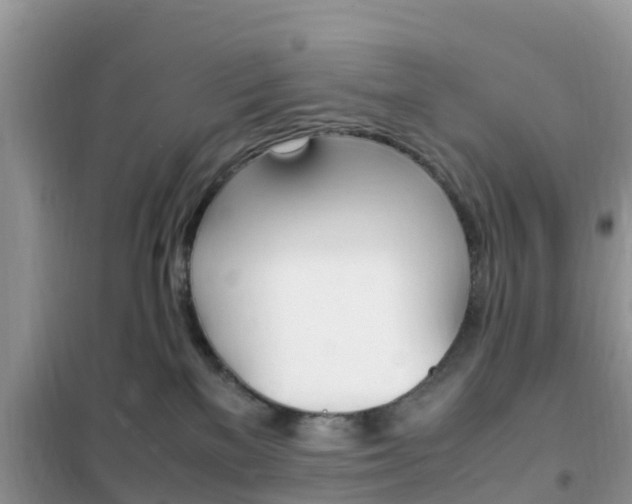X0000102370137200808011032
