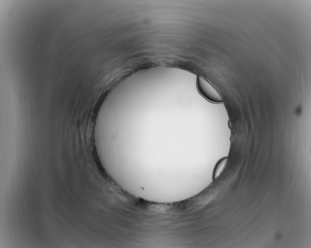 X0000102370139200808011032