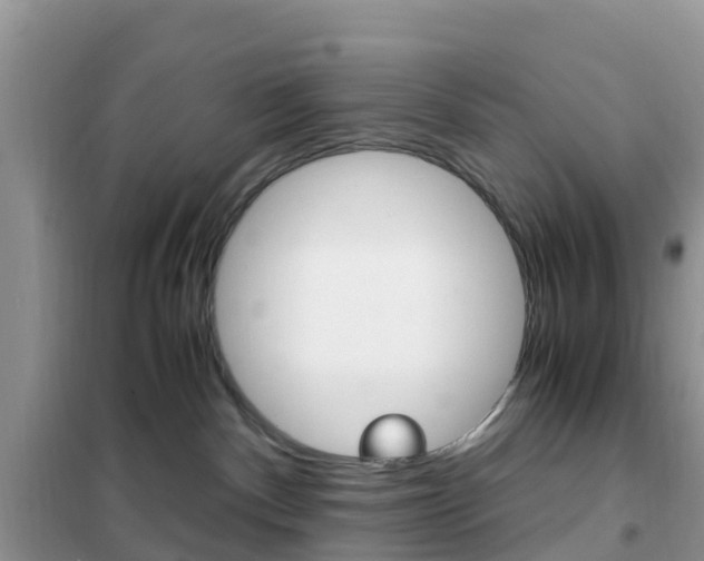 X0000102370140200808011032