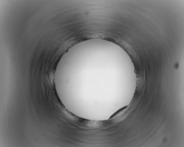 X0000102370142200808011032