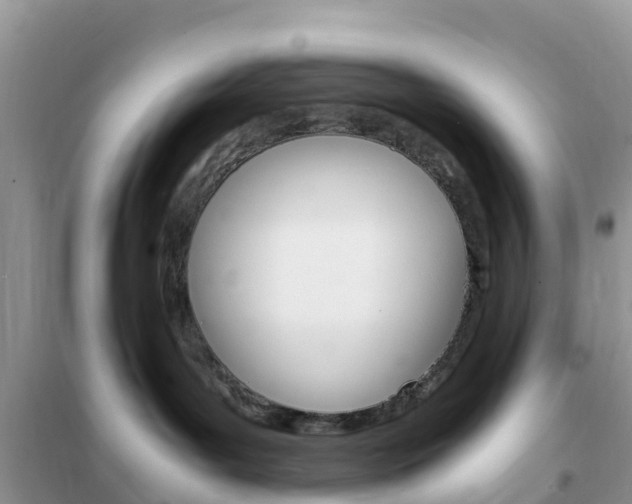 X0000102370143200808011032