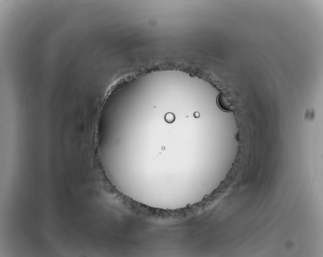 X0000102370144200808011032