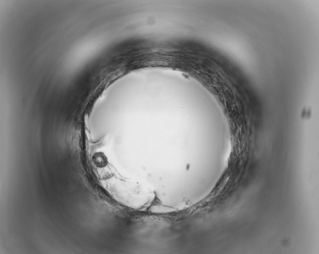 X0000102370146200808011032