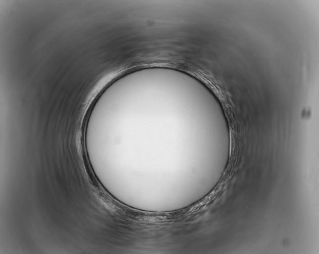 X0000102370147200808011032