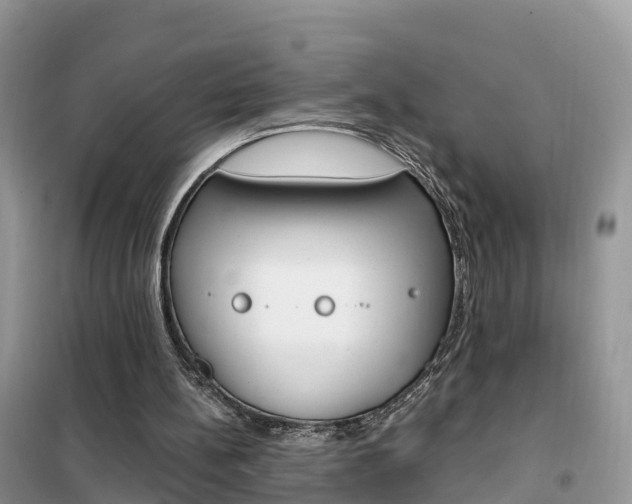X0000102370148200808011032