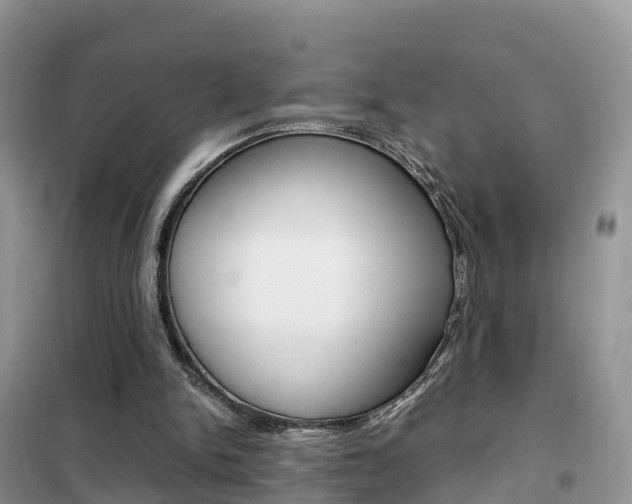 X0000102370150200808011032