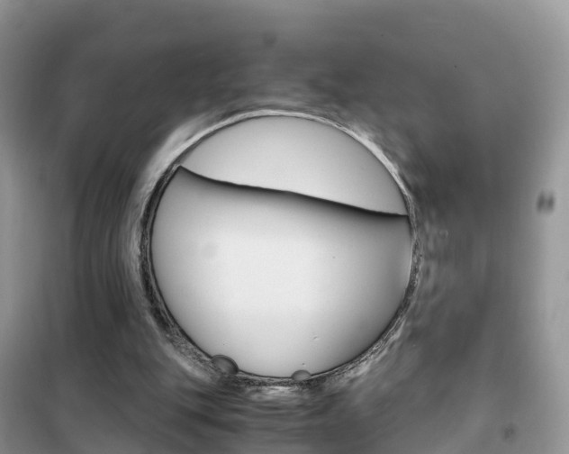 X0000102370151200808011032