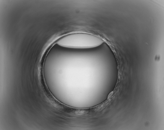 X0000102370152200808011032
