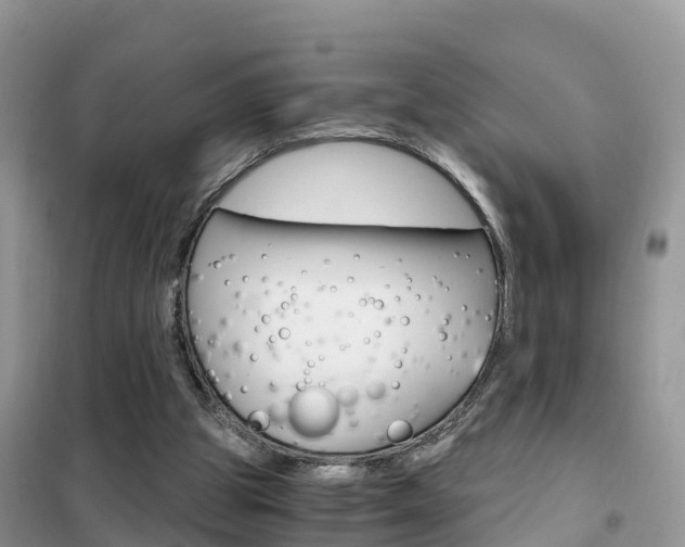 X0000102370153200808011032
