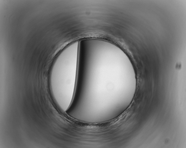 X0000102370154200808011032