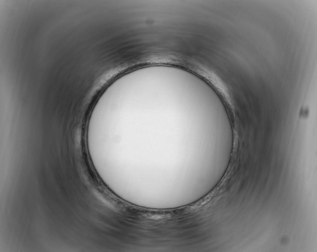 X0000102370155200808011032