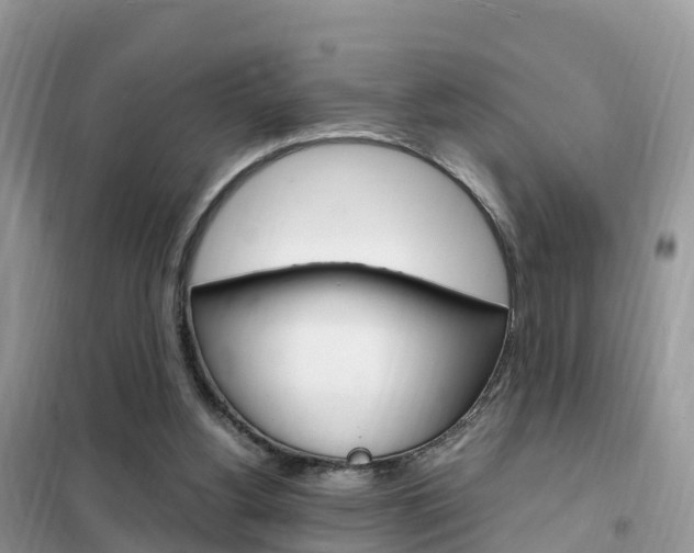 X0000102370156200808011032