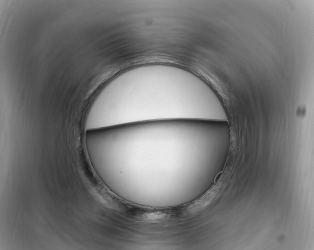 X0000102370158200808011032