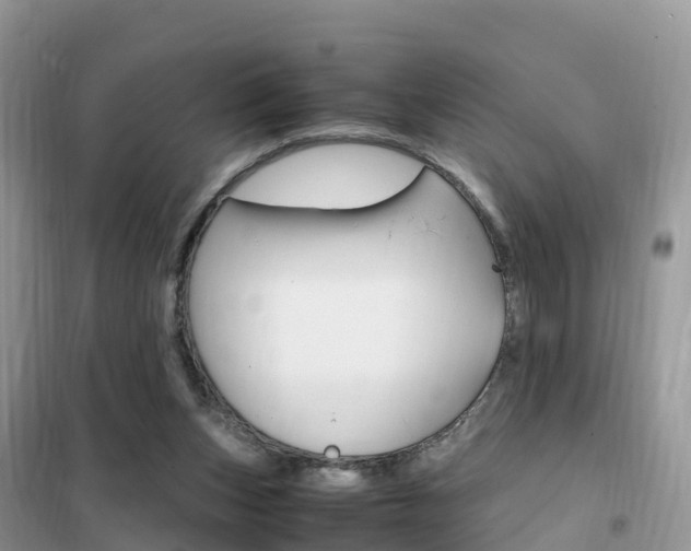 X0000102370159200808011032