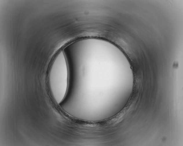 X0000102370160200808011032