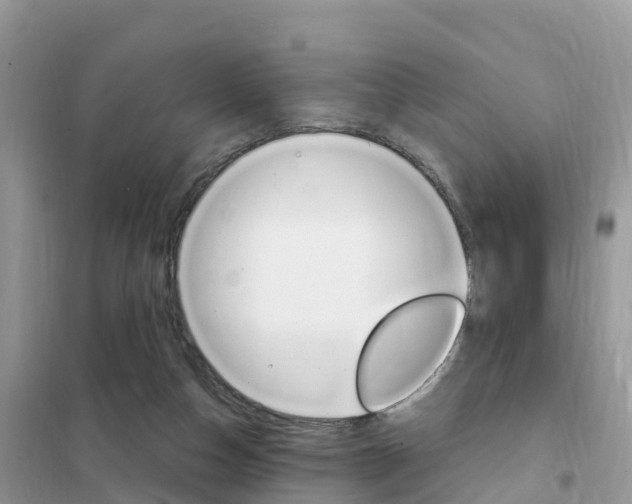 X0000102370162200808011032