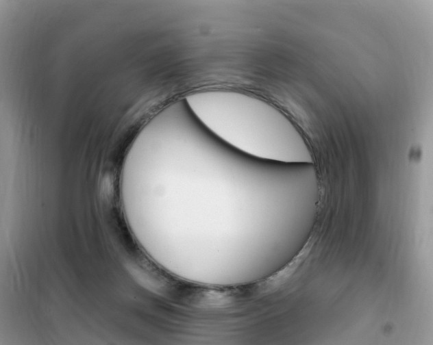 X0000102370166200808011032