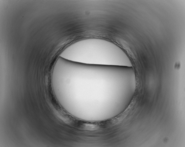 X0000102370167200808011032