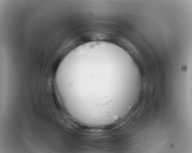 X0000102370169200808011032