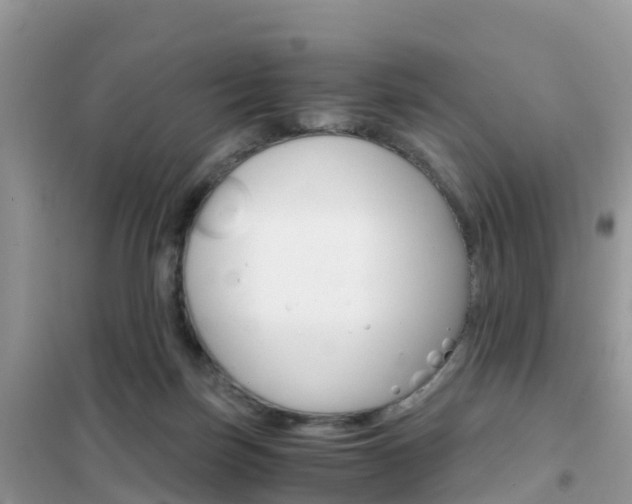 X0000102370171200808011032