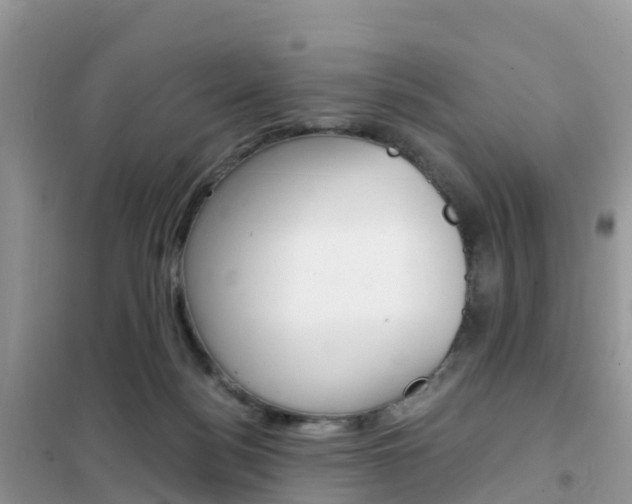 X0000102370172200808011032