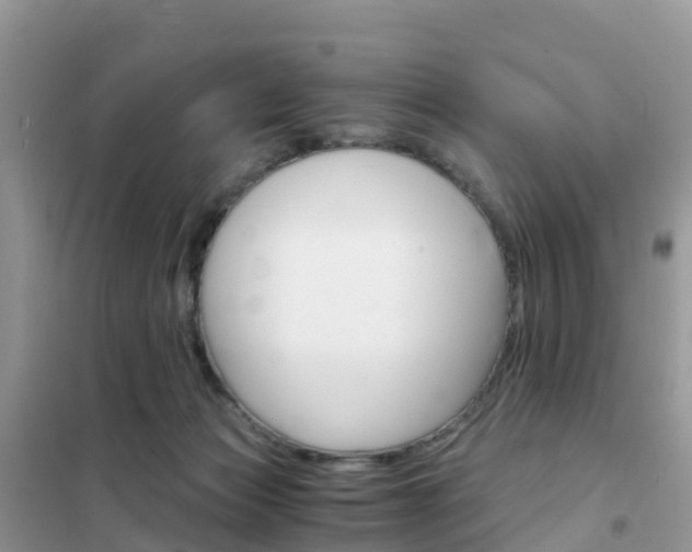 X0000102370173200808011032