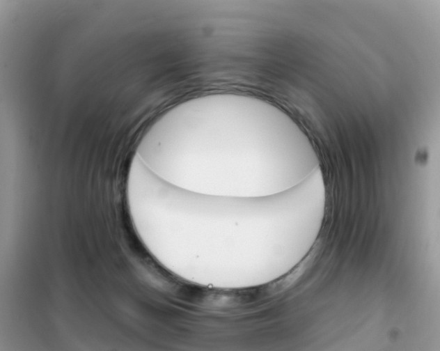 X0000102370174200808011032