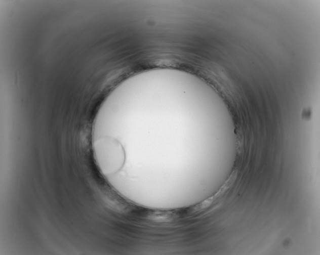 X0000102370175200808011032