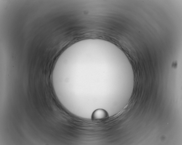 X0000102370176200808011032