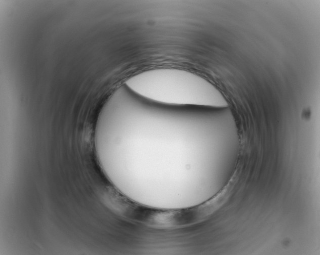 X0000102370178200808011032