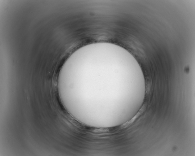 X0000102370179200808011032
