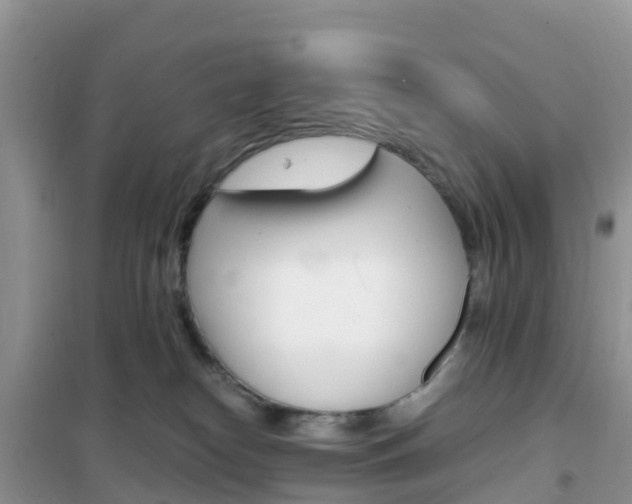 X0000102370182200808011032
