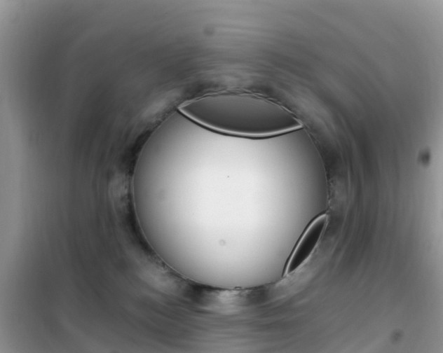 X0000102370184200808011032