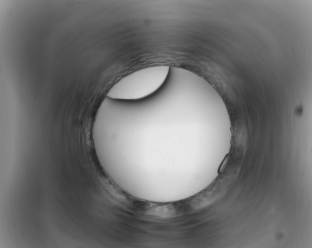 X0000102370185200808011032