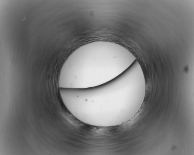 X0000102370186200808011032