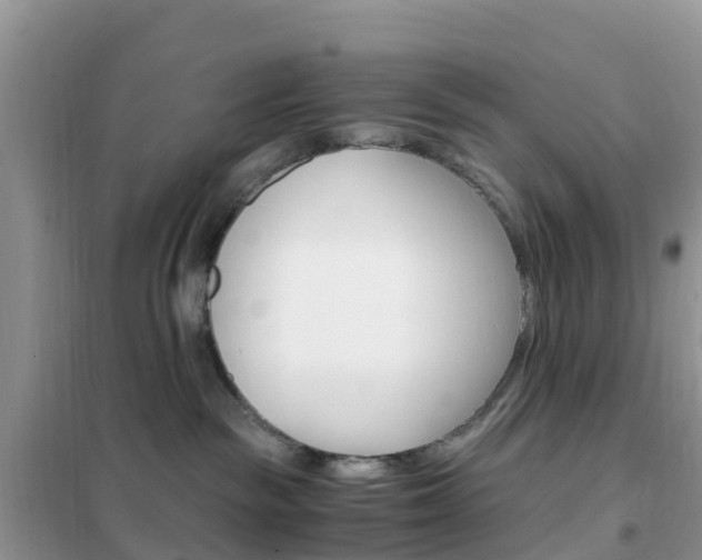 X0000102370189200808011032