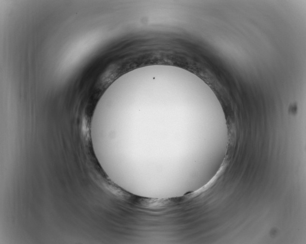 X0000102370191200808011032