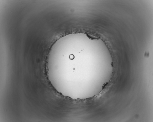 X0000102370192200808011032